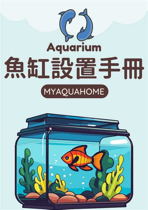 只養一隻魚|養魚新手入門：12個教學讓你養魚一次上手（新手必讀）